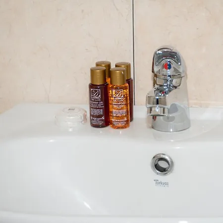 Pensión орбелус 3*