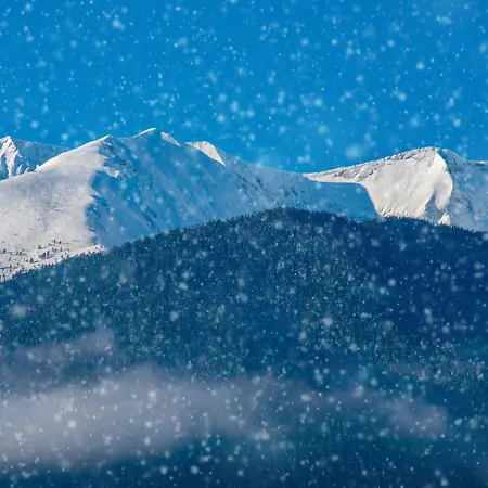 орбелус Pensión Bansko