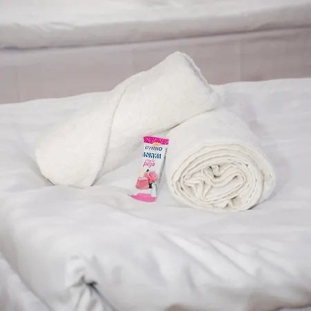 орбелус 게스트하우스 반스코