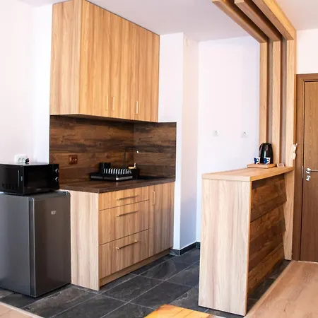 орбелус 게스트하우스 반스코