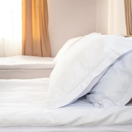 בית הארחה орбелус בנסקו