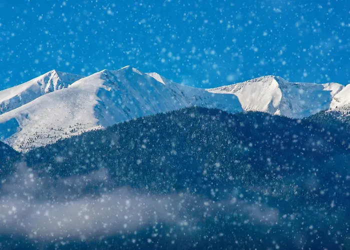 орбелус بيت ضيافة بانسكو